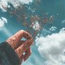 A2 profil fotoğrafı