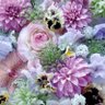 桜子 profil fotoğrafı