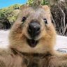 Profilbild von Gio