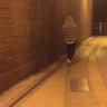 のりー 的头像