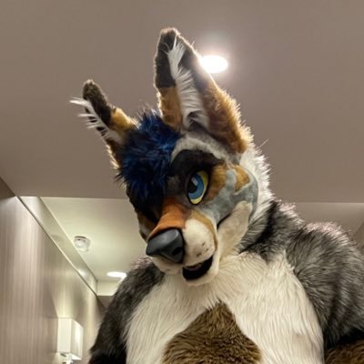 Cedar Wolfyote 🔜 FWA, MP's profile picture