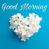 Kiran Raj's profile picture