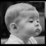 Brownie's profile picture