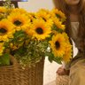 Profilbild von ซันเบบี้🍀🌻
