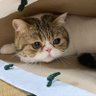 Фото профиля てぃえこ