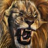 Фото профиля León Magno 1