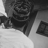🪴RAYSHIO🕊️'s profile picture