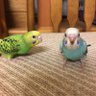 ひろじい 的头像