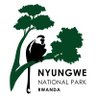 Nyungwe National Park 的头像