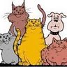Фото профиля 4 cats and a dog