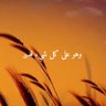 Фото профиля القانته لله 🇯🇴🌺
