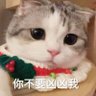 黑糖板栗 profil fotoğrafı