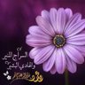 أم عبدالرحمن ... دخول متقطع 的头像