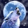 Wolfmanmos 的头像