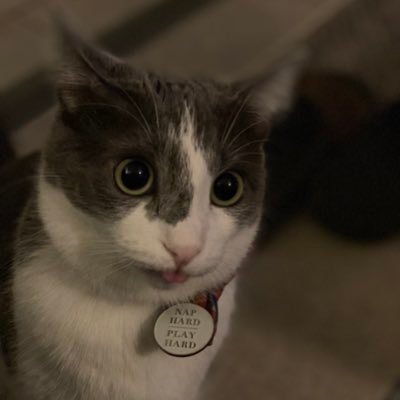 mxeon1001's profile picture