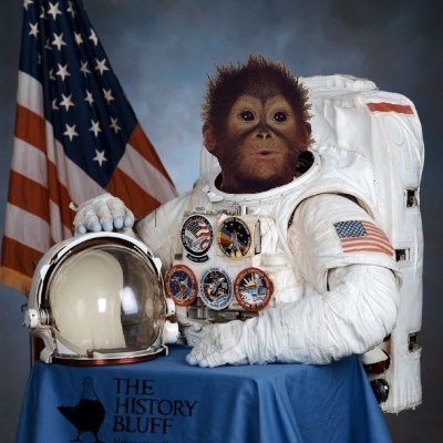 Huberticus_'s profile picture