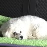 Profilbild von holly