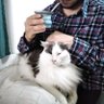 Pablo Grassi profil fotoğrafı