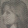 Linda Brine's profile picture