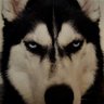 TER. MF's profile picture