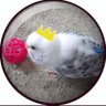 Profilbild von kazu.h