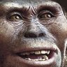 Mike Jones profil fotoğrafı
