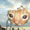eewer 的头像