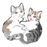 Фото профиля くろみつ・しらたま🐈保護猫兄妹
