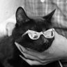 Фото профиля black_cat