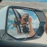 Skyler Denny profil fotoğrafı