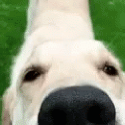 removed's profile picture