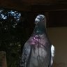 Juanf Gonzalez profil fotoğrafı