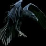 OldCrow profil fotoğrafı