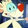 SplicedMice's profile picture