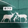 みずさわ(札幌) profil fotoğrafı
