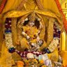 Nilesh Pathak's profile picture