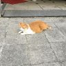 まるちぃ's profile picture