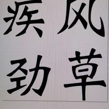 jifengjingcao's profile picture