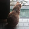 masa's profile picture