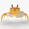 CrabSaison 〓〓 的头像