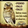 águia 🦅's profile picture