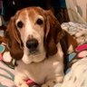 Ginny143143's profile picture