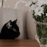 ss profil fotoğrafı