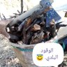 عمر ياسر حميدان's profile picture