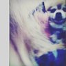 ~sherry~'s profile picture