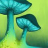 Wicked Garden 的头像