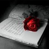 Hawas Sami's profile picture