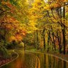 Ramig profil fotoğrafı