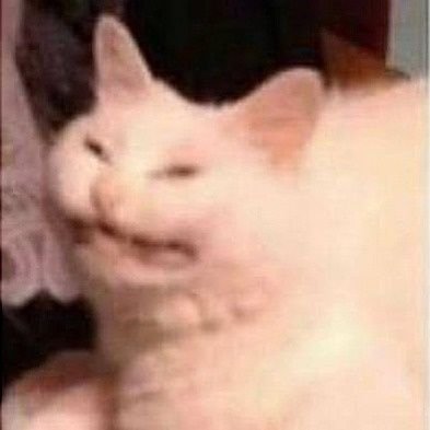 aguademanzana's profile picture