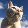 anitastt_ profil fotoğrafı